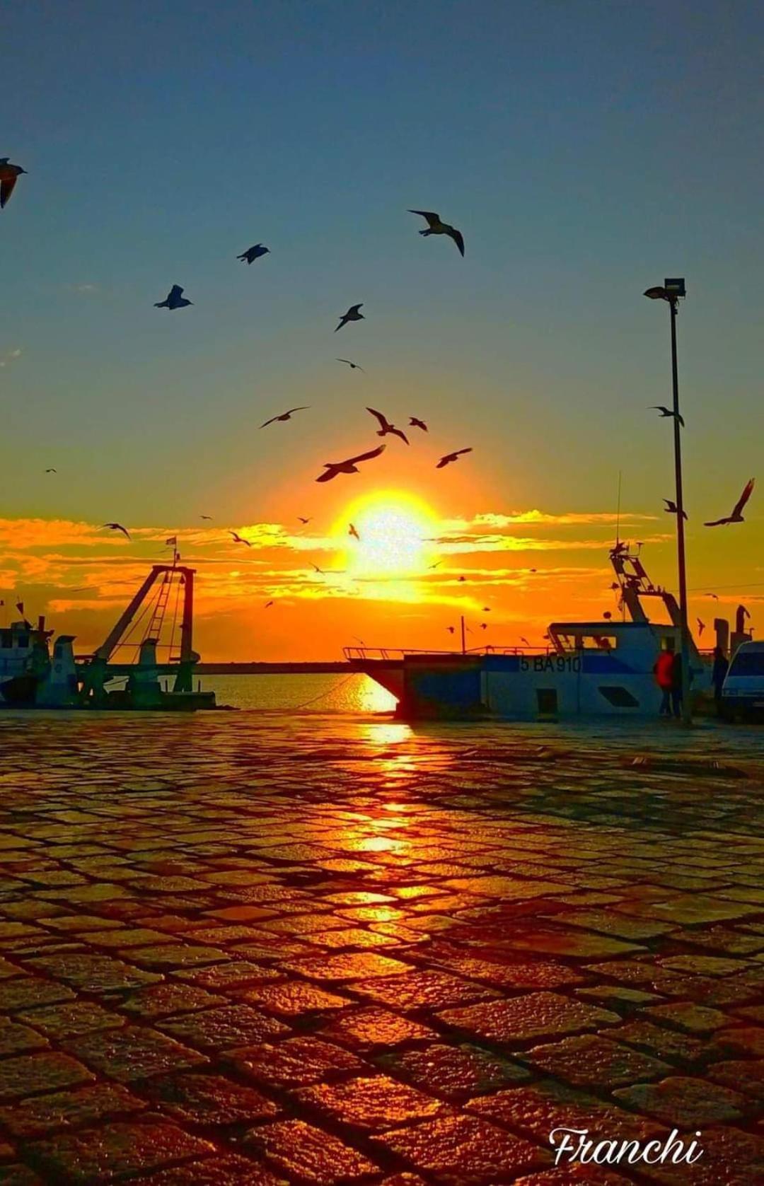 Vacanze Al San Domenico Mola di Bari Bagian luar foto